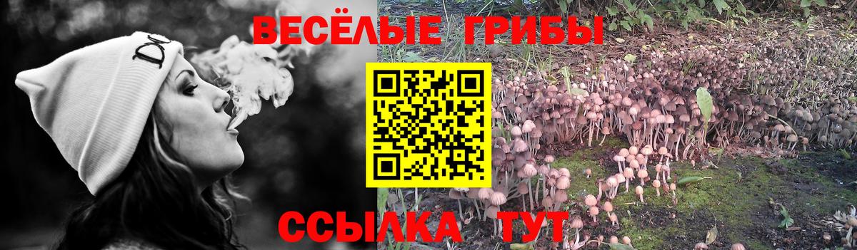 Псилоцибиновые грибы Magic Shrooms Большой Камень