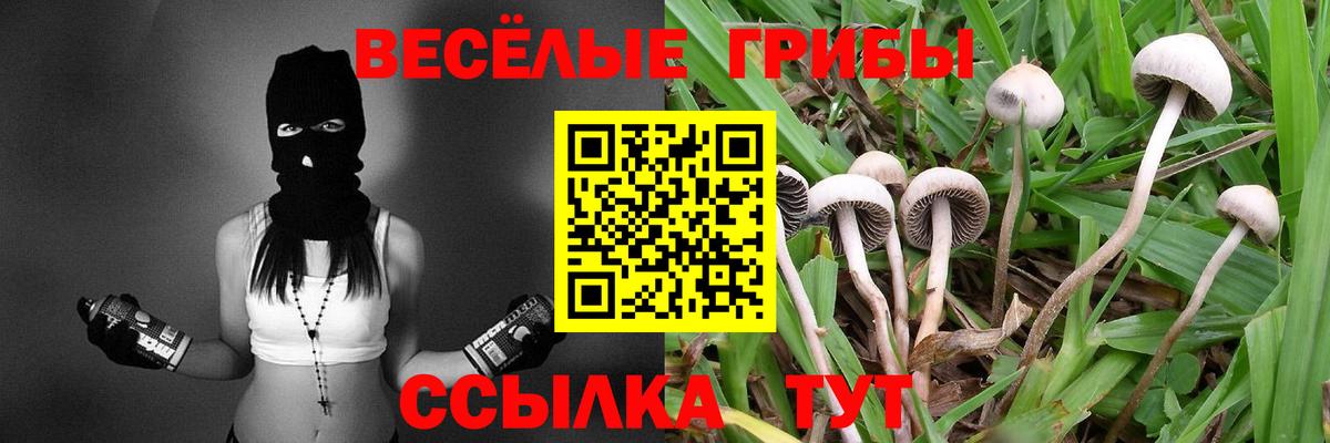 Галлюциногенные грибы прущие грибы  Псилоцибиновые грибы Psilocybe  Большой Камень  Вход с VPN 